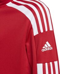 Джемпер для детей Adidas Squadra 21 Training Youth Jr, 176 см, красный цена и информация | Футбольная форма и другие товары | pigu.lt