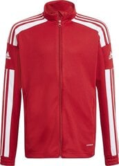 Vaikiškas džemperis Adidas Squadra 21 Training Youth Jr, 176 cm, raudonas kaina ir informacija | Futbolo apranga ir kitos prekės | pigu.lt