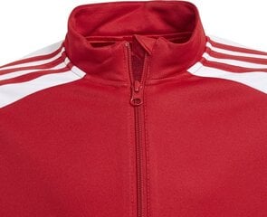 Детский джемпер Adidas Squadra 21 красный GP6458, 152 см цена и информация | Свитеры, жилетки, пиджаки для мальчиков | pigu.lt