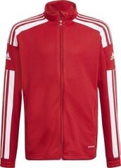 Vaikiškas džemperis Adidas Squadra 21 raudonas GP6458, 140 cm kaina ir informacija | Adidas teamwear Spоrto prekės | pigu.lt