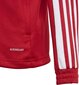 Vaikiškas džemperis Adidas Squadra 21 raudonas GP6458, 140 cm kaina ir informacija | Futbolo apranga ir kitos prekės | pigu.lt