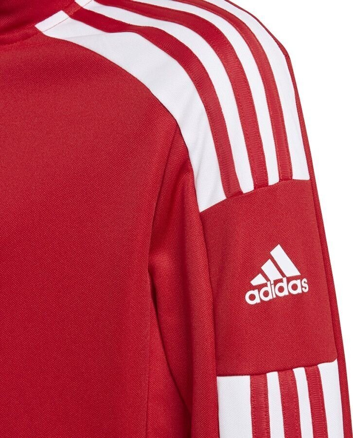 Vaikiškas džemperis Adidas Squadra 21 raudonas GP6458, 140 cm kaina ir informacija | Futbolo apranga ir kitos prekės | pigu.lt