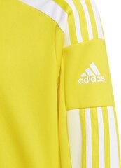 Vaikiškas džemperis Adidas Squadra 21 geltonas GP6453 176 cm kaina ir informacija | Adidas teamwear Sportas, laisvalaikis, turizmas | pigu.lt