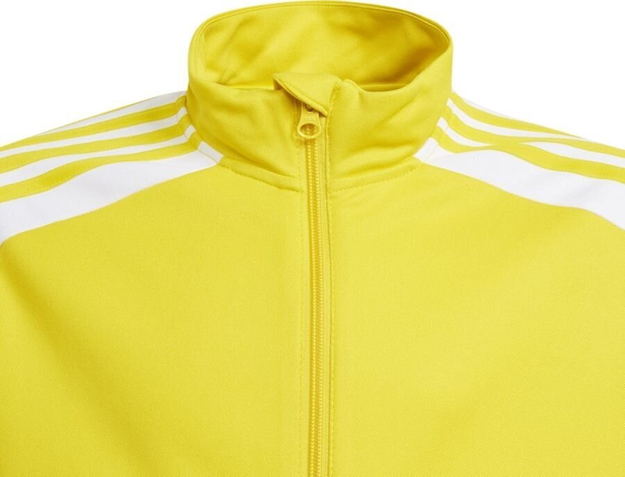 Vaikiškas džemperis Adidas Squadra 21 geltonas GP6453 176 cm kaina ir informacija | Futbolo apranga ir kitos prekės | pigu.lt