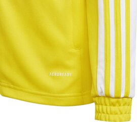 Детский джемпер Adidas Squadra 21 желтый GP6453 176 cm цена и информация | Adidas teamwear Спорт, досуг, туризм | pigu.lt