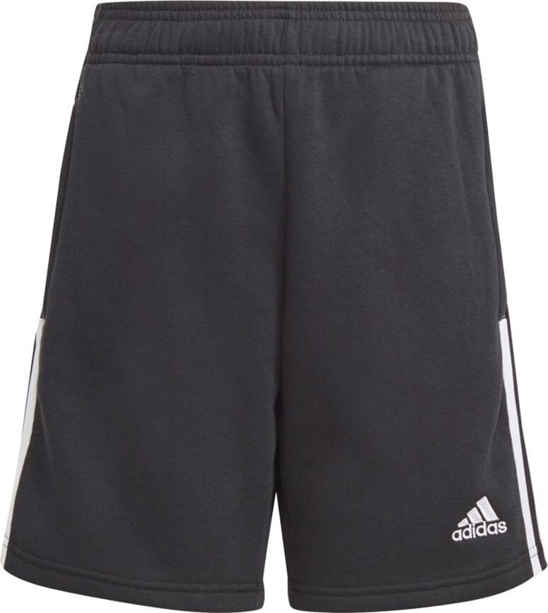 Šortai berniukams Adidas Tiro 21 Sweat Short Jr GM7343 juodi, 128cm kaina ir informacija | Futbolo apranga ir kitos prekės | pigu.lt