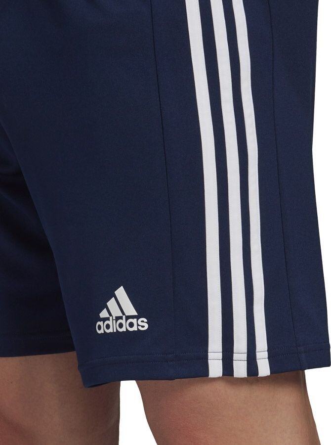 Šortai Adidas Squadra 21, mėlyni kaina ir informacija | Futbolo apranga ir kitos prekės | pigu.lt