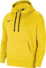 Džemperis vyrams Nike, geltonas kaina ir informacija | Džemperiai vyrams | pigu.lt