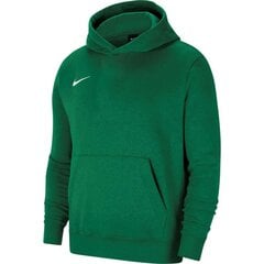 Nike Джемпер Nsw Repeat Pk Fz Hoodie Green DM4672 335 цена и информация | Свитеры, жилетки, пиджаки для мальчиков | pigu.lt