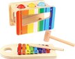 Medinių muzikinių instrumentų rinkinys 2in1 Tooky Toy 12 mėn.+ kaina ir informacija | Žaislai kūdikiams | pigu.lt