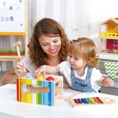 Medinių muzikinių instrumentų rinkinys 2in1 Tooky Toy 12 mėn.+ kaina ir informacija | Žaislai kūdikiams | pigu.lt