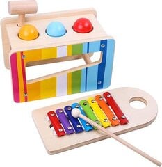 Medinių muzikinių instrumentų rinkinys 2in1 Tooky Toy 12 mėn.+ kaina ir informacija | Žaislai kūdikiams | pigu.lt