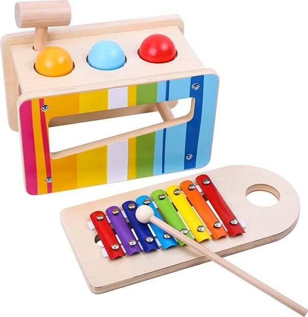 Medinių muzikinių instrumentų rinkinys 2in1 Tooky Toy 12 mėn.+ цена и информация | Žaislai kūdikiams | pigu.lt