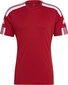 Vyriški marškinėliai trumpomis rankovėmis Adidas Squadra 21 Jersey GN5722, raudoni kaina ir informacija | Futbolo apranga ir kitos prekės | pigu.lt