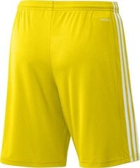 Vyriški šortai adidas Squadra 21 GN5772, geltoni, M kaina ir informacija | Futbolo apranga ir kitos prekės | pigu.lt