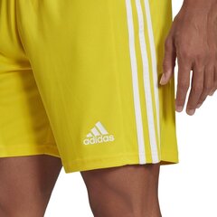 Vyriški šortai adidas Squadra 21 GN5772, geltoni, L kaina ir informacija | Adidas teamwear Sportas, laisvalaikis, turizmas | pigu.lt