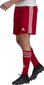 Šortai Adidas Squadra 21, raudoni kaina ir informacija | Futbolo apranga ir kitos prekės | pigu.lt