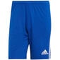 Vyriški šortai Adidas Squadra 21 GK9153, mėlyni цена и информация | Futbolo apranga ir kitos prekės | pigu.lt