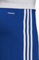 Vyriški šortai Adidas Squadra 21 GK9153, mėlyni цена и информация | Futbolo apranga ir kitos prekės | pigu.lt