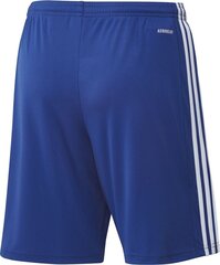 Мужские шорты Adidas Squadra 21 GK9153, синий цена и информация | Adidas teamwear Спорт, досуг, туризм | pigu.lt