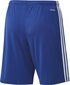 Vyriški šortai Adidas Squadra 21 GK9153, mėlyni kaina ir informacija | Futbolo apranga ir kitos prekės | pigu.lt