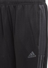 Спортивные брюки для детей Adidas Tiro GN5495, черный цена и информация | Adidas teamwear Спорт, досуг, туризм | pigu.lt