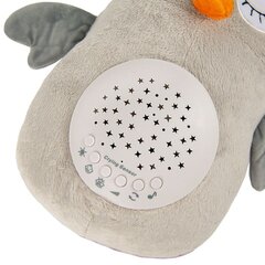 Smiki световой проектор Сова Little Dreamer, 6654853 цена и информация | Игрушки для малышей | pigu.lt