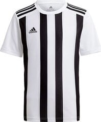 Marškinėliai Adidas STRIPED 21 JSY, balti, S kaina ir informacija | Futbolo apranga ir kitos prekės | pigu.lt