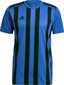 Marškinėliai Adidas STRIPED 21 JSY, mėlyni, S kaina ir informacija | Futbolo apranga ir kitos prekės | pigu.lt