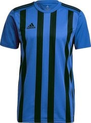 Marškinėliai Adidas STRIPED 21 JSY, mėlyni, M kaina ir informacija | Futbolo apranga ir kitos prekės | pigu.lt