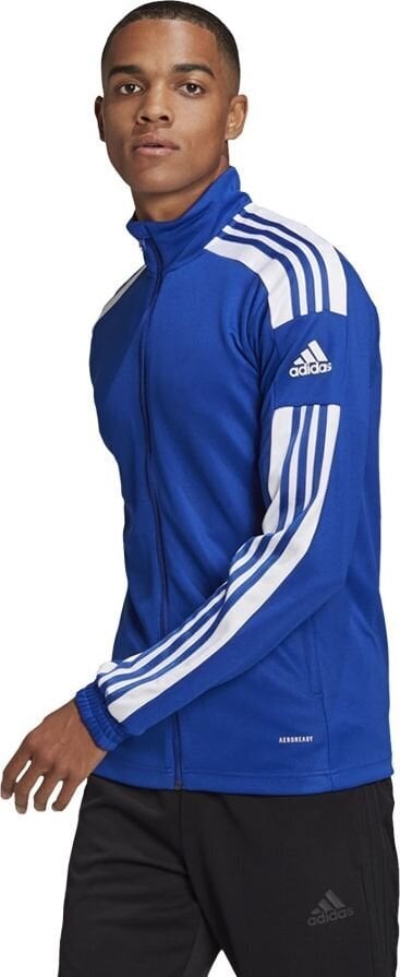 Vyriškas treniruočių megztinis Adidas Squadra 21 GP6463, mėlynas kaina ir informacija | Futbolo apranga ir kitos prekės | pigu.lt