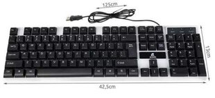 Клавиатура K12540 LED цена и информация | Клавиатуры | pigu.lt