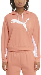 Джемпер Puma Modern Sports Hoodie Peach цена и информация | Женские толстовки | pigu.lt