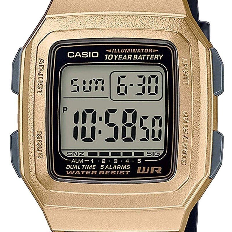 Vyriškas laikrodis Casio F-201WAM-9AVEF цена и информация | Vyriški laikrodžiai | pigu.lt