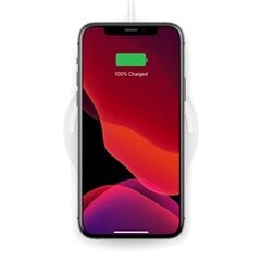 Belkin Wireless Charging Pad with PSU USB зарядное устройство цена и информация | Зарядные устройства для телефонов | pigu.lt