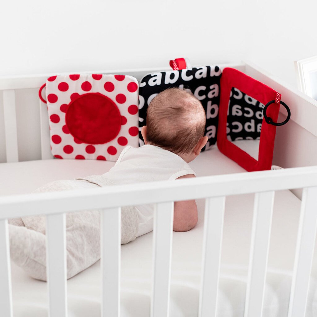 Kontrasto veidrodis vaikui Canpol babies kaina ir informacija | Žaislai kūdikiams | pigu.lt
