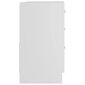 Spintelė praustuvui, 63x30x54 cm, balta kaina ir informacija | Vonios spintelės | pigu.lt