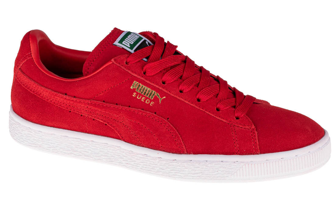 Laisvalaikio batai Puma 356568-63, raudoni kaina ir informacija | Sportiniai bateliai, kedai moterims | pigu.lt