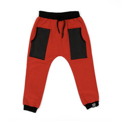 Спортивные штаны для мальчиков Victory цена и информация | Спортивные штаны для мальчиков | pigu.lt