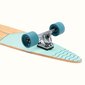 Riedlentė Longboard Retrospec Zed Pintail Bondi Wave цена и информация | Riedlentės | pigu.lt