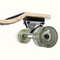 Longboardas Retrospec Tidal Malibu Palm kaina ir informacija | Riedlentės | pigu.lt