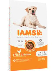 Iams For Vitality Adult suaugusiems didelių veislių šunims su vištiena, 5 kg kaina ir informacija | Sausas maistas šunims | pigu.lt