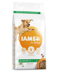 Iams for Vitality suaugusiems didelių veislių šunims su ėriena, 3 kg цена и информация |  Сухой корм для собак | pigu.lt