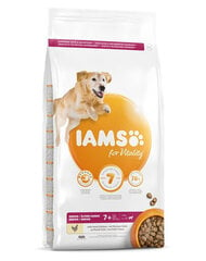 Iams For Vitality для пожилых собак крупных пород с курицей, 3 кг цена и информация |  Сухой корм для собак | pigu.lt