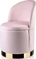 РЕНЕЕ Кресло 73X53X49CM цена и информация | Кресла в гостиную | pigu.lt