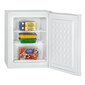 Bomann GB 7236 kaina ir informacija | Šaldikliai, šaldymo dėžės | pigu.lt