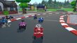 PS4 Big Bobby Car: The Big Race kaina ir informacija | Kompiuteriniai žaidimai | pigu.lt
