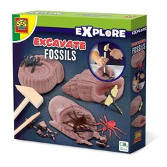 Kasinėjimo rinkinys SES Excavate Fossils kaina ir informacija | Stalo žaidimai, galvosūkiai | pigu.lt