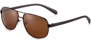 Солнцезащитные очки Label P1209 Polarized цена и информация | Легкие и мощные прозрачные защитные очки для велосипедов | pigu.lt