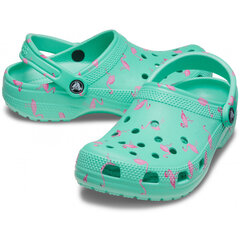 Женская обувь Crocs™ Classic Vacay Vibes Clog цена и информация | Женские тапочки | pigu.lt